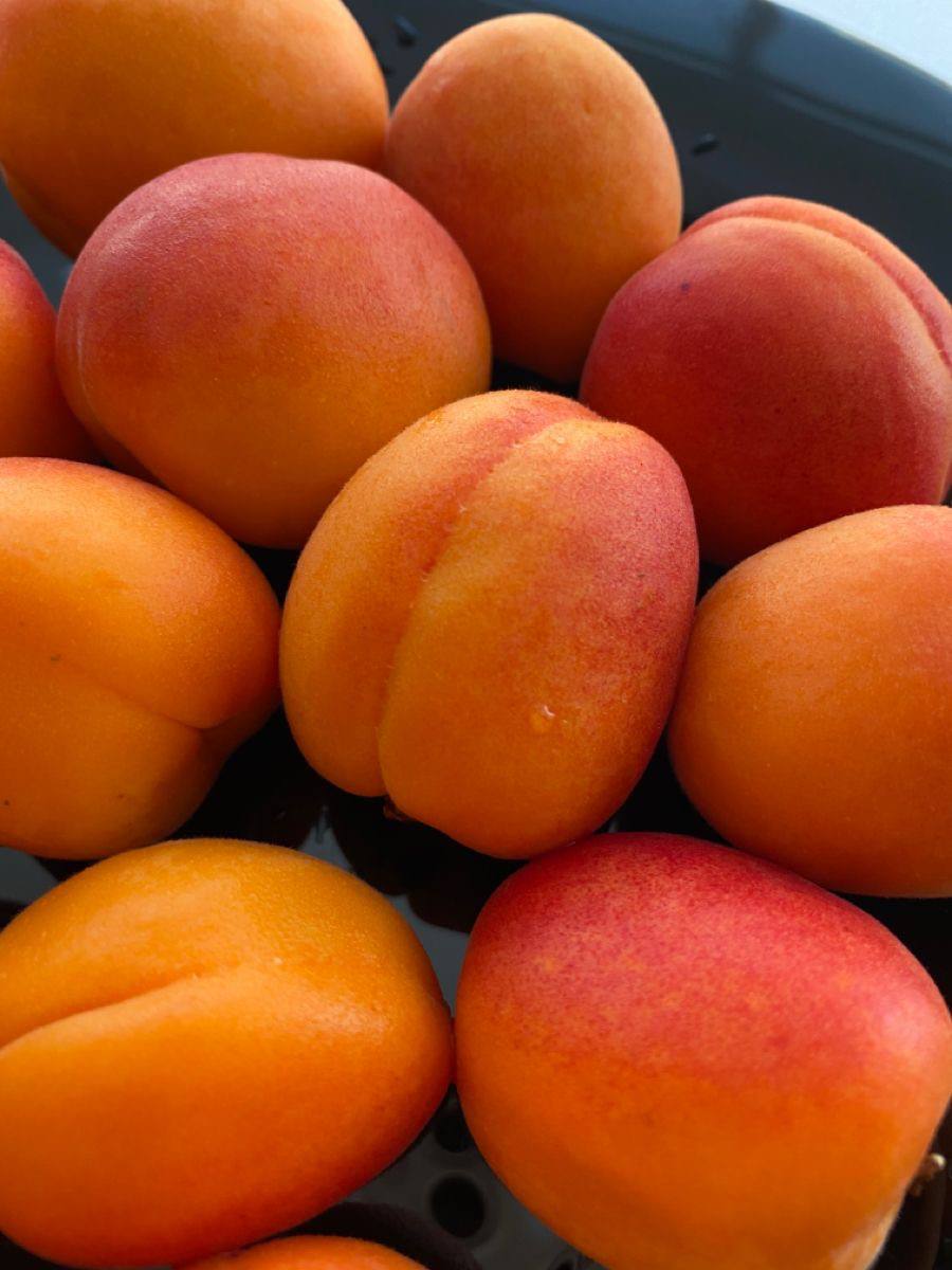 карточка товара