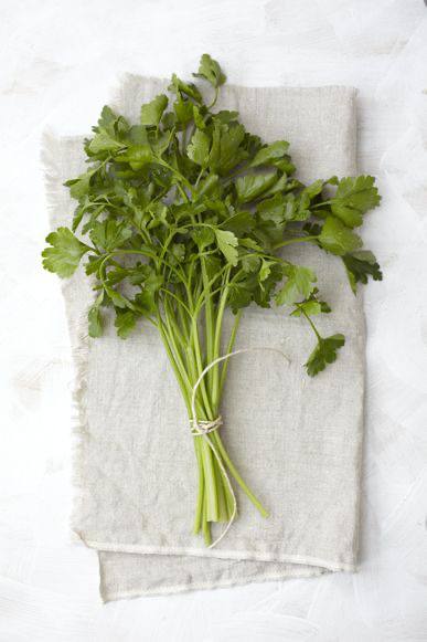 карточка товара