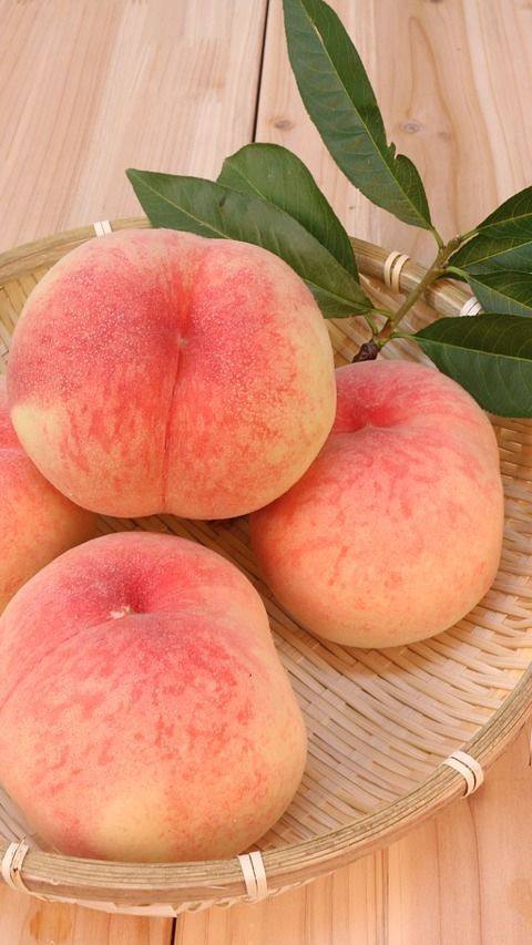 карточка товара