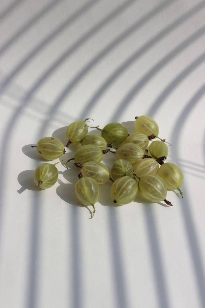 карточка товара