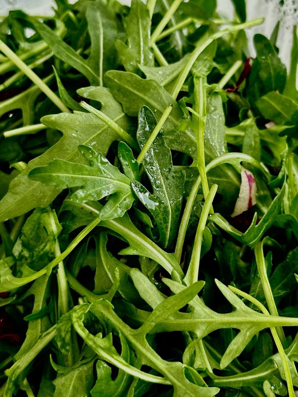 карточка товара