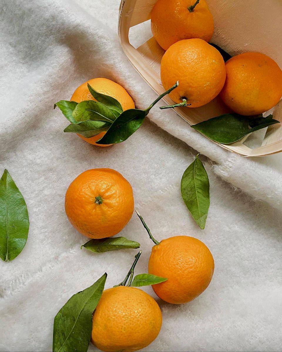 карточка товара